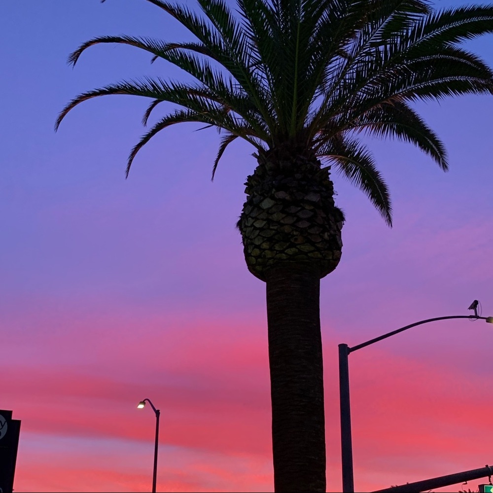 Meet your Posher, Mo